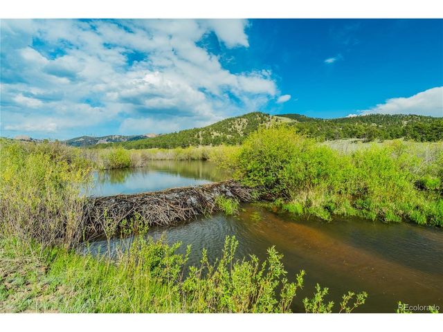 224 Lakeview Forest Hts, Florissant, CO 80816