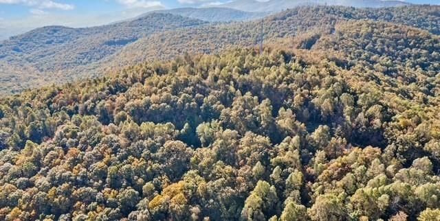 Lot 2 Upper Sassafras Parkway, Jasper, GA 30143