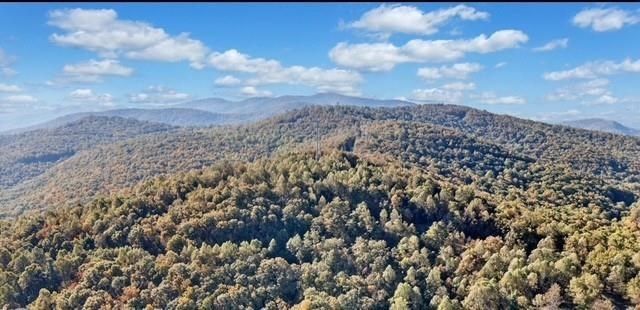 Lot 2 Upper Sassafras Parkway, Jasper, GA 30143