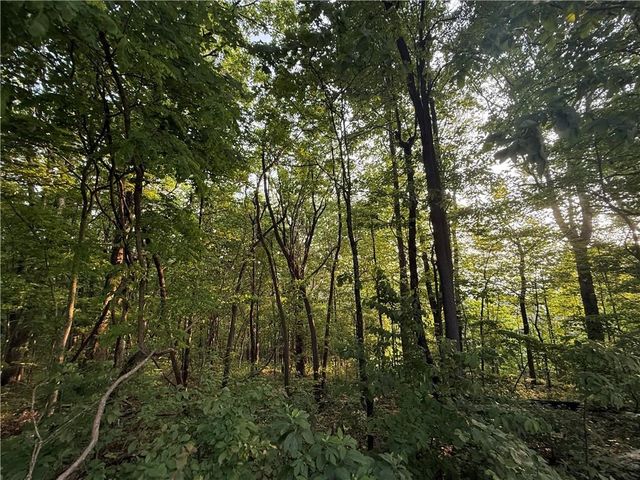 Lot 2 Upper Sassafras Parkway, Jasper, GA 30143