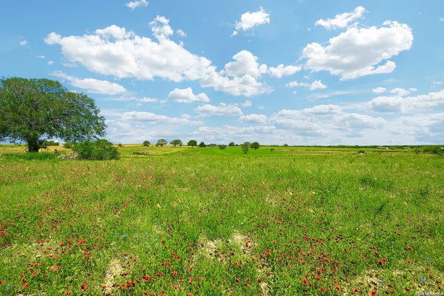 2484 County Road 120, Floresville, TX 78114