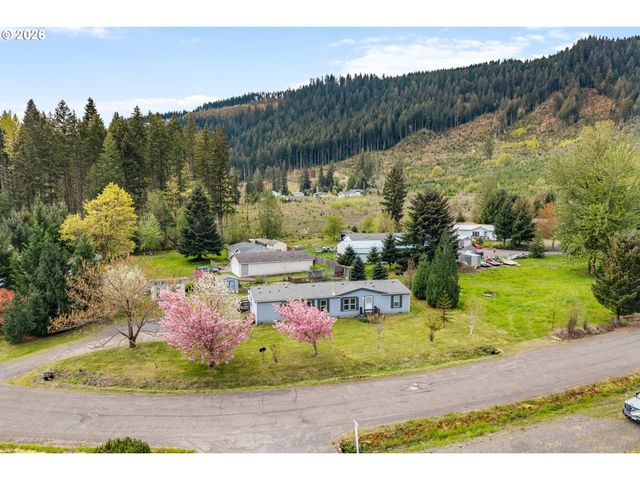 151 RUSSELLS TIMBER Ln, Carson, WA 98610