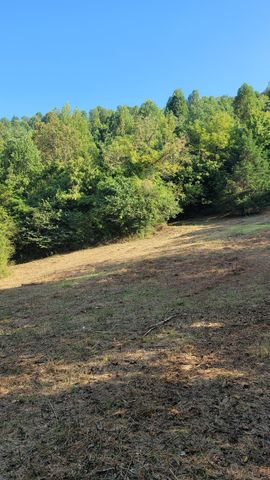 0 Hannah Br Rd, Petersburg, TN 37144