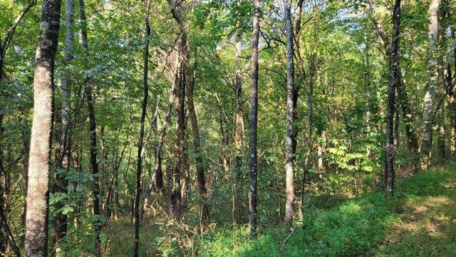 0 Hannah Br Rd, Petersburg, TN 37144