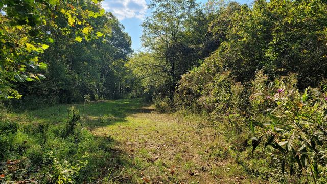 0 Hannah Br Rd, Petersburg, TN 37144