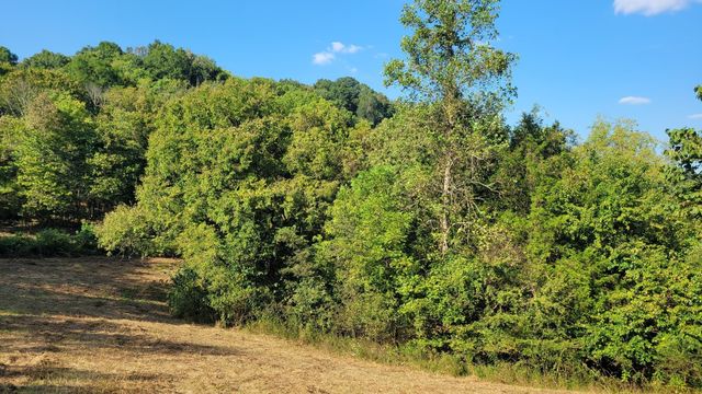 0 Hannah Br Rd, Petersburg, TN 37144