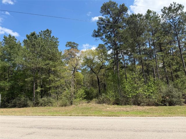 19-6-1 Dedication Trail, Huntsville, TX 77340