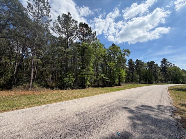 19-6-1 Dedication Trail, Huntsville, TX 77340