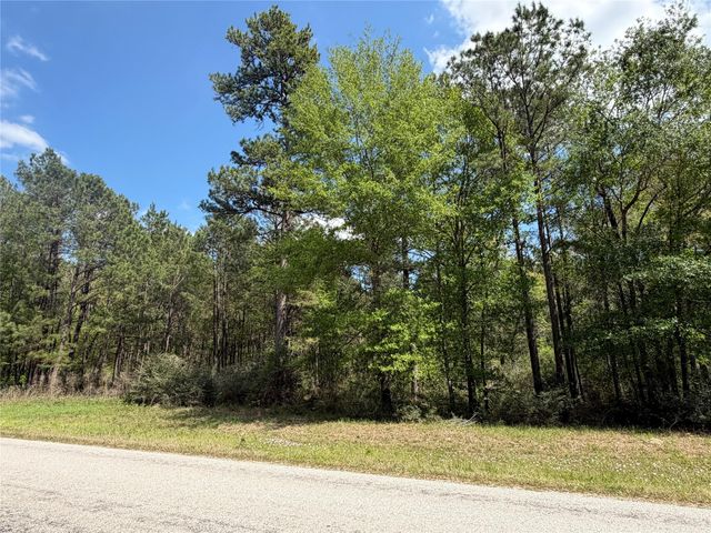 19-6-1 Dedication Trail, Huntsville, TX 77340