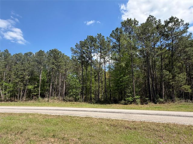 19-6-1 Dedication Trail, Huntsville, TX 77340