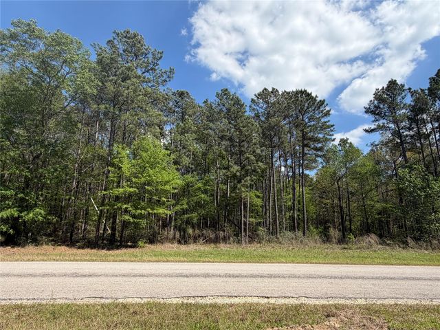 19-6-1 Dedication Trail, Huntsville, TX 77340