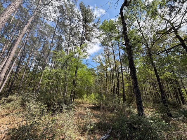 19-6-1 Dedication Trail, Huntsville, TX 77340