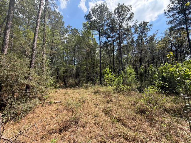 19-6-1 Dedication Trail, Huntsville, TX 77340