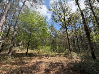 19-6-1 Dedication Trail, Huntsville, TX 77340