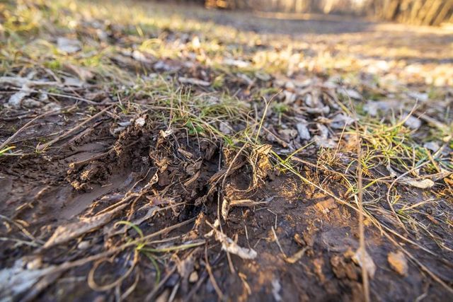 5046 Raytown Road, Kansas City, MO 64133