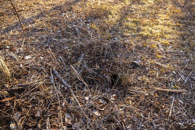 5046 Raytown Road, Kansas City, MO 64133