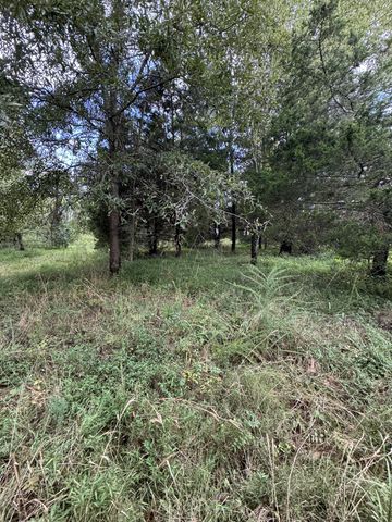 2301/2 Running Meadows Rd, Portland, TN 37148
