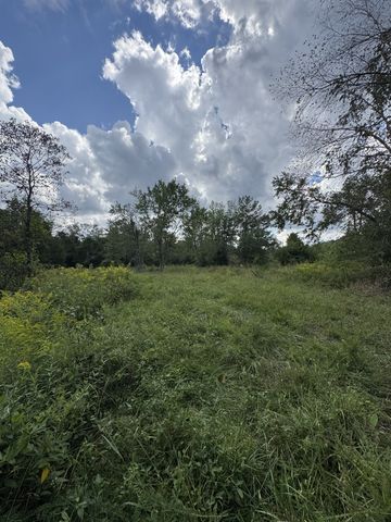 2301/2 Running Meadows Rd, Portland, TN 37148