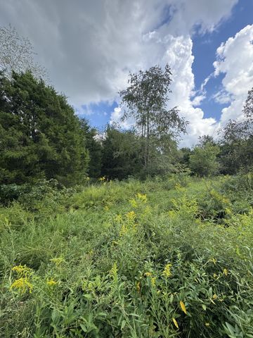 2301/2 Running Meadows Rd, Portland, TN 37148