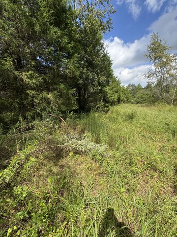 2301/2 Running Meadows Rd, Portland, TN 37148