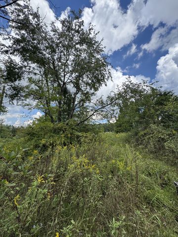 2301/2 Running Meadows Rd, Portland, TN 37148