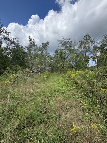 2301/2 Running Meadows Rd, Portland, TN 37148