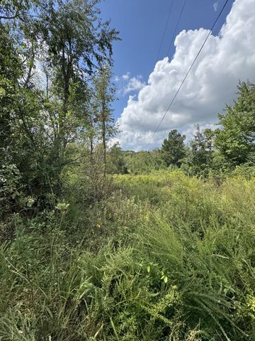 2301/2 Running Meadows Rd, Portland, TN 37148