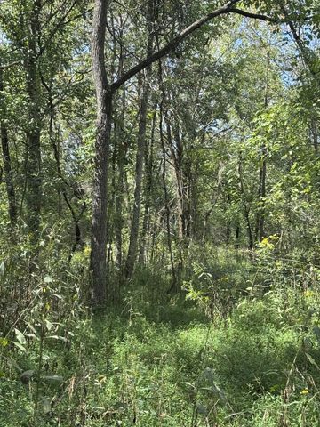 2301/2 Running Meadows Rd, Portland, TN 37148