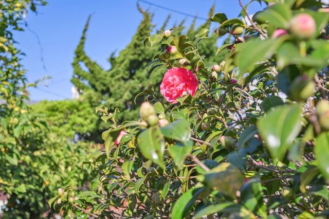 2932 2932 Marina Dr, Alameda, CA 94501