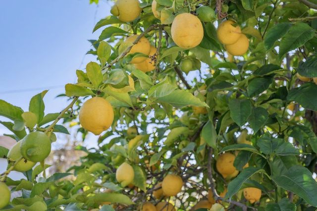 2932 2932 Marina Dr, Alameda, CA 94501