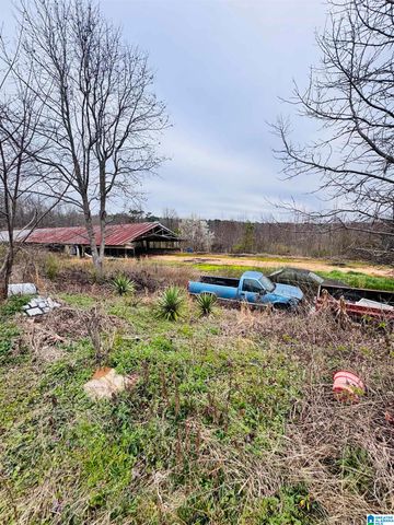 229 GRAHAM ROAD, Pell City, AL 35125