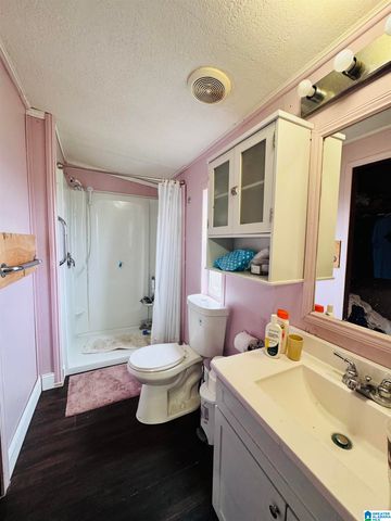 229 GRAHAM ROAD, Pell City, AL 35125