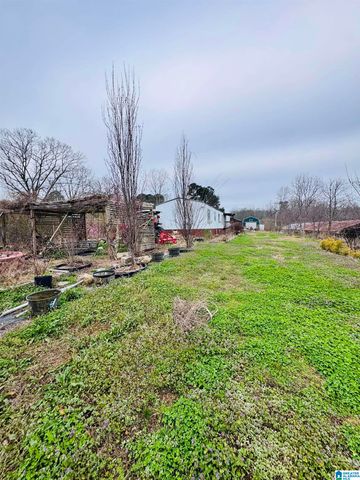 229 GRAHAM ROAD, Pell City, AL 35125