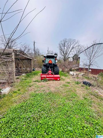 229 GRAHAM ROAD, Pell City, AL 35125