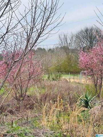 229 GRAHAM ROAD, Pell City, AL 35125