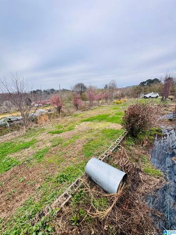 229 GRAHAM ROAD, Pell City, AL 35125