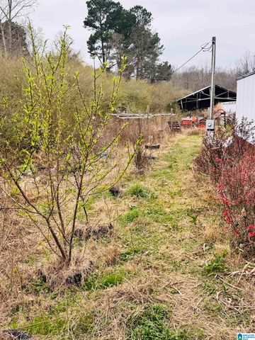 229 GRAHAM ROAD, Pell City, AL 35125