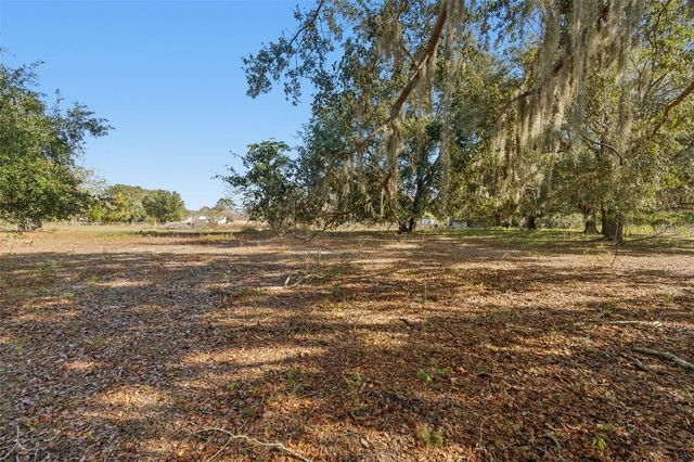 28538 RICE ROAD, San Antonio, FL 33576