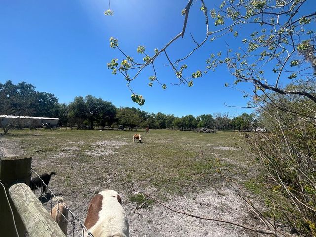 28538 RICE ROAD, San Antonio, FL 33576