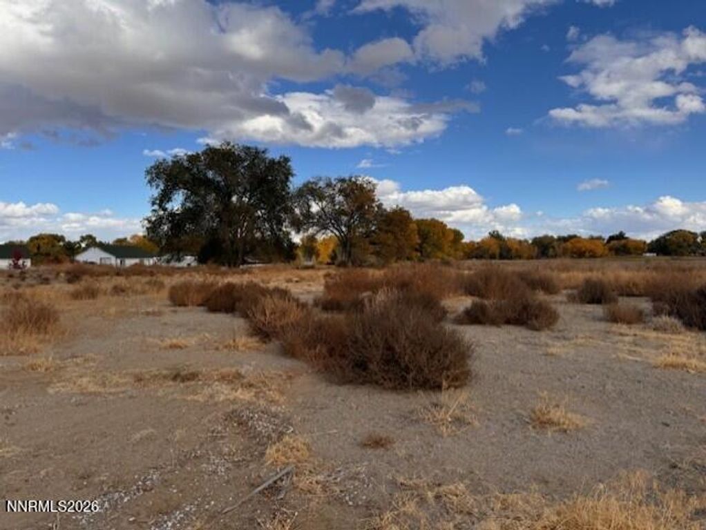 Image 2 of property listing at 785 Wetland View, Fallon, NV 89406