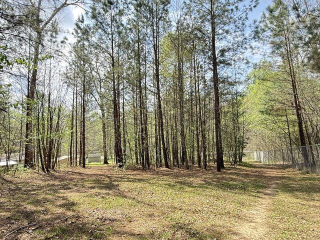 2135 Copper Spring Rd, Springville, TN 38256