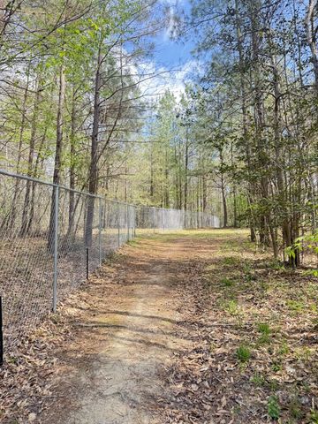 2135 Copper Spring Rd, Springville, TN 38256