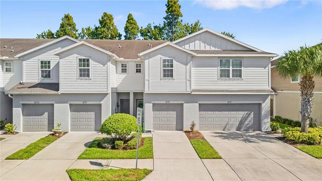 8719 TURNSTONE HAVEN PLACE, Tampa, FL 33619