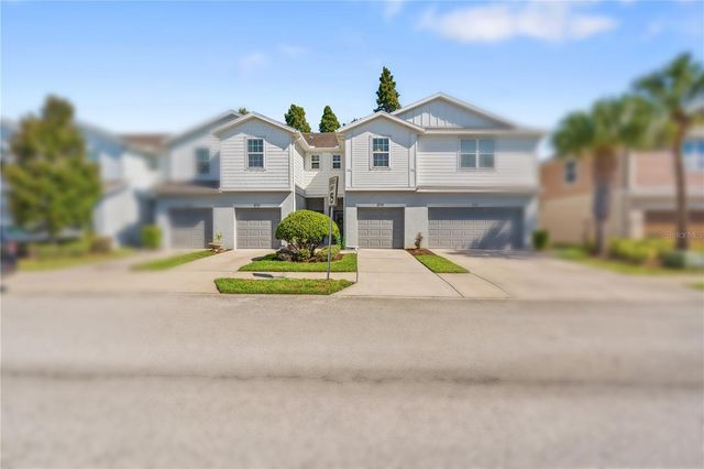 8719 TURNSTONE HAVEN PLACE, Tampa, FL 33619