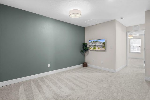 8719 TURNSTONE HAVEN PLACE, Tampa, FL 33619