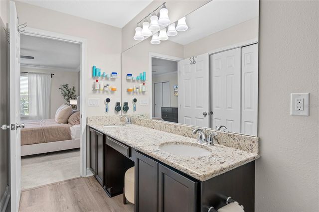 8719 TURNSTONE HAVEN PLACE, Tampa, FL 33619