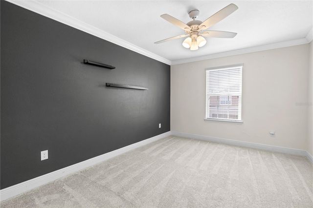 8719 TURNSTONE HAVEN PLACE, Tampa, FL 33619