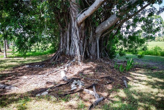 4223 SE 4th PL, Cape Coral, FL 33904
