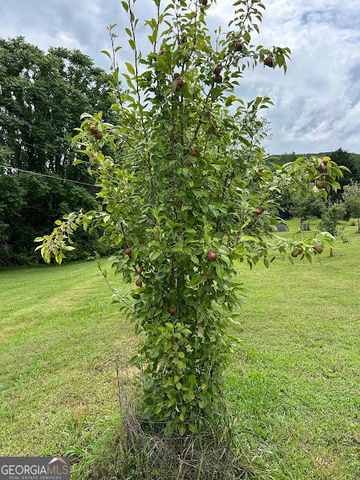 2838 Skitts Mountain Road, Cleveland, GA 30528