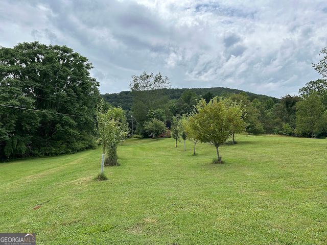 2838 Skitts Mountain Road, Cleveland, GA 30528